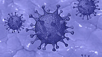 Informationen des Bistums zum Umgang mit dem Coronavirus