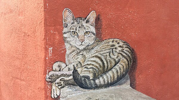 gemalte Katze