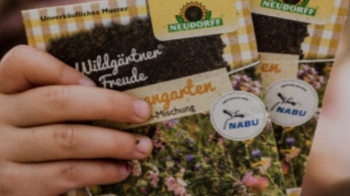 Wildblumen Projekt für unsere Bienen